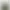 Capture Feedback
